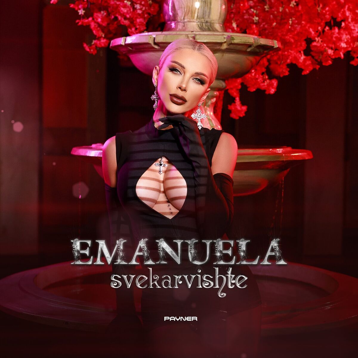 Album cover of Svekarvishte