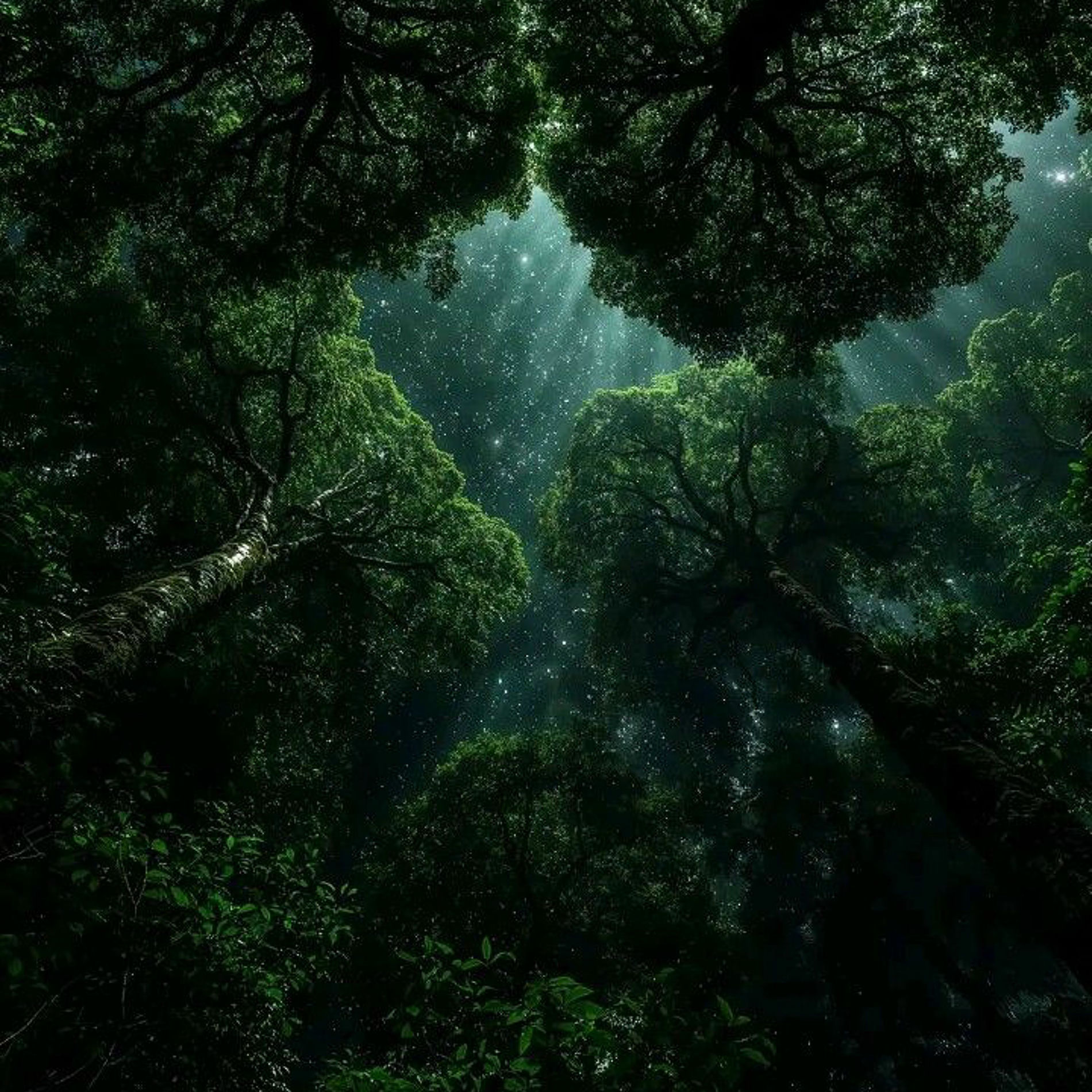 Album cover of fourtinesa (sped up)