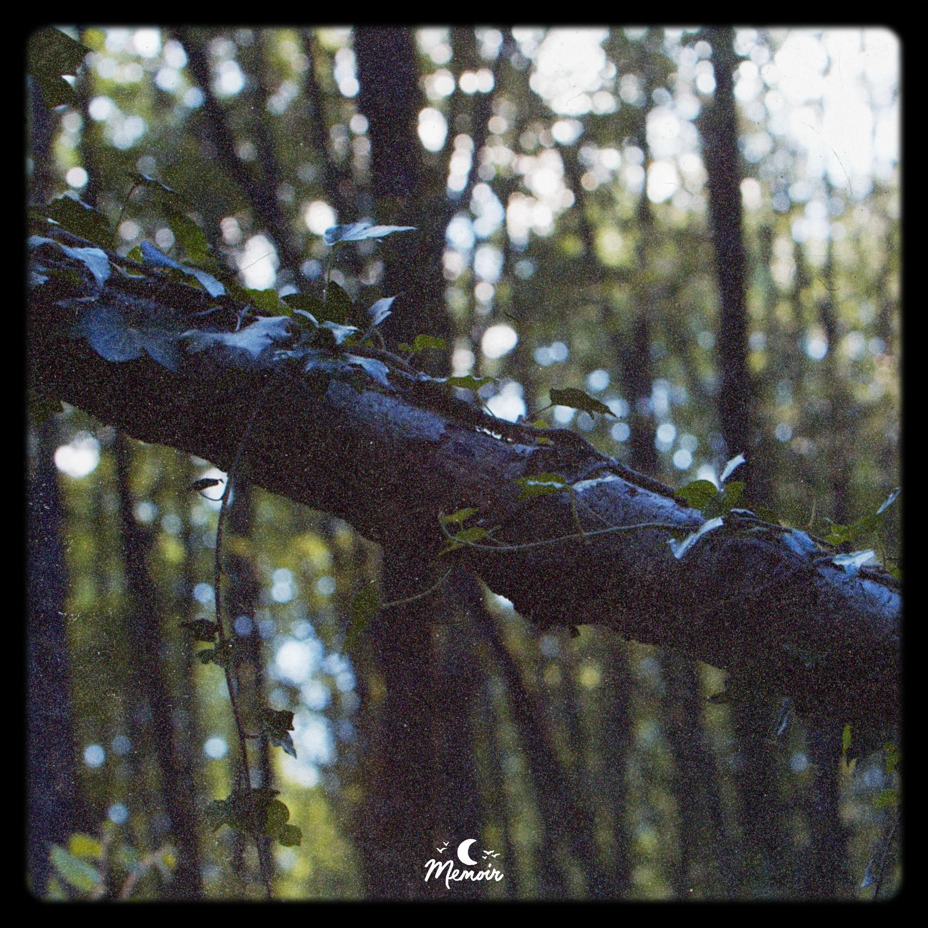 Album cover of Two For Joy