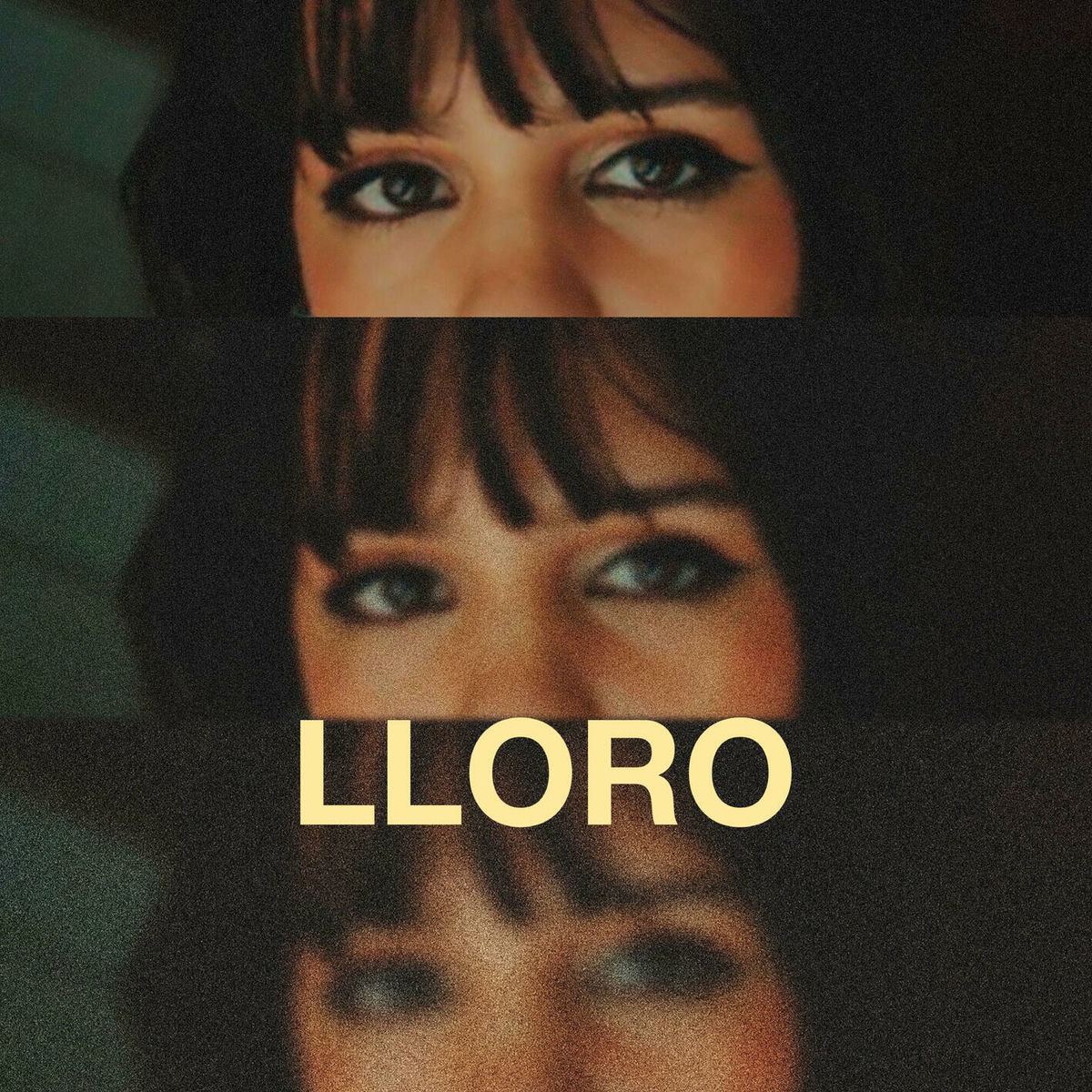 Album cover of Lloro