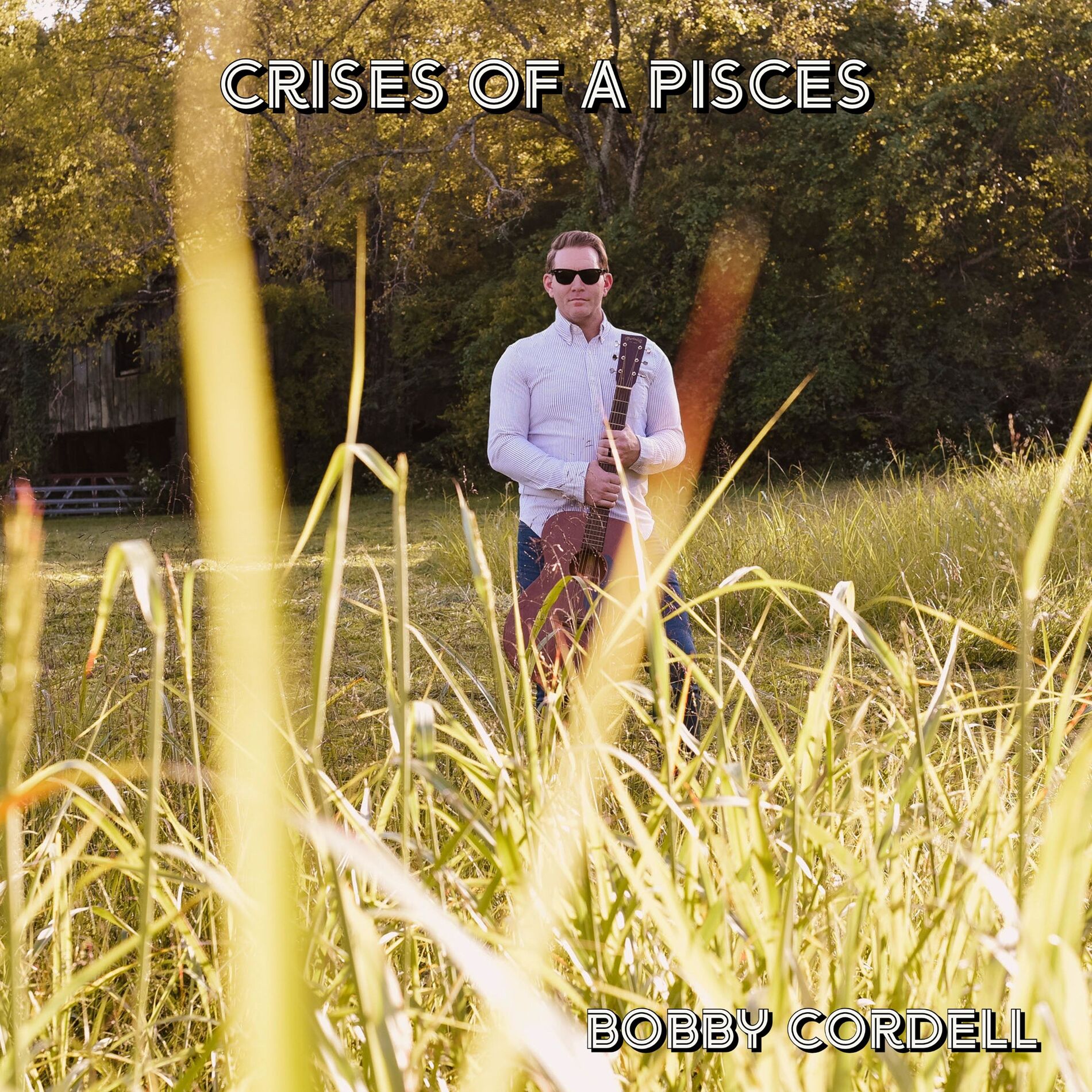 Album cover of Crises of a Pisces