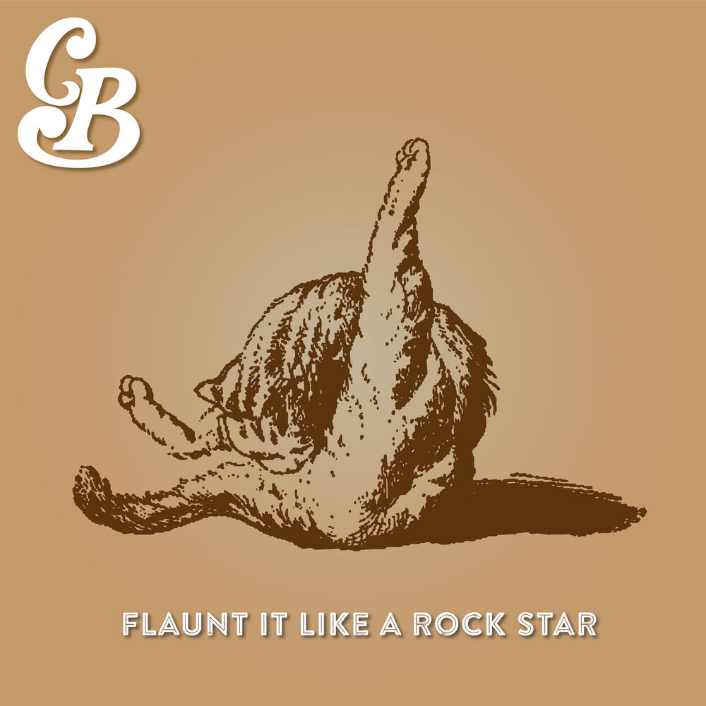 Picture of Flaunt It Like a Rock Star