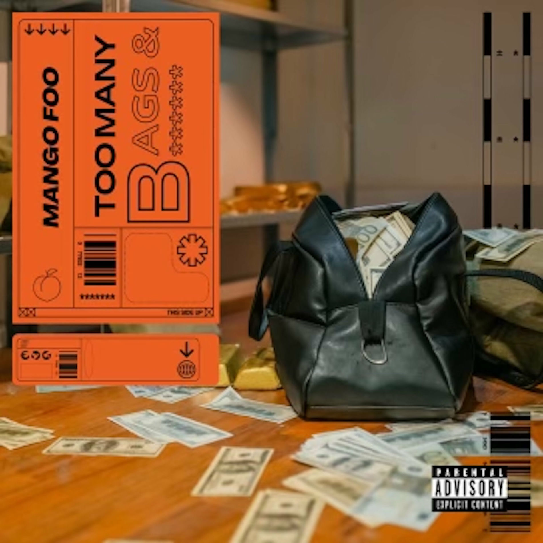 Album cover of Too Many Bags