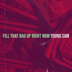 Cover of Fill That Bag up Right Now