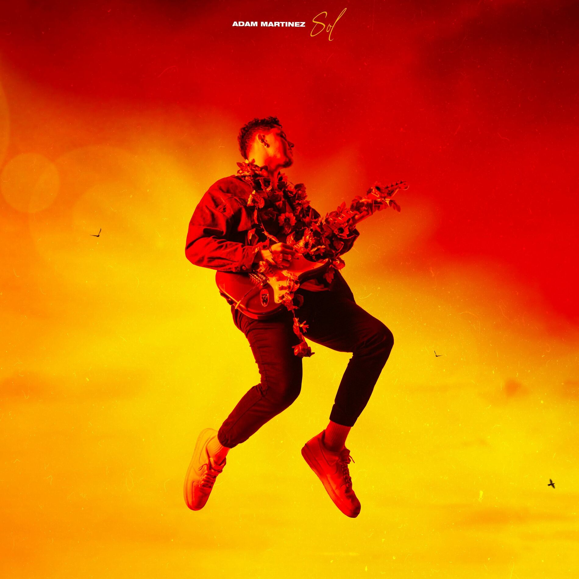 Album cover of Sol