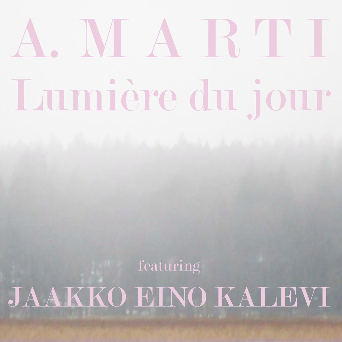 Album cover of Lumière Du Jour