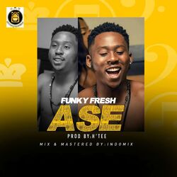 Cover of ASE