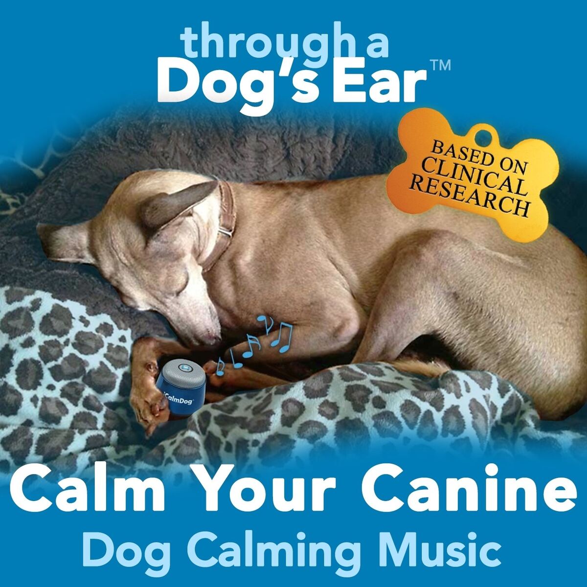 Album picture of Calm Your Canine: Dog Calming Music