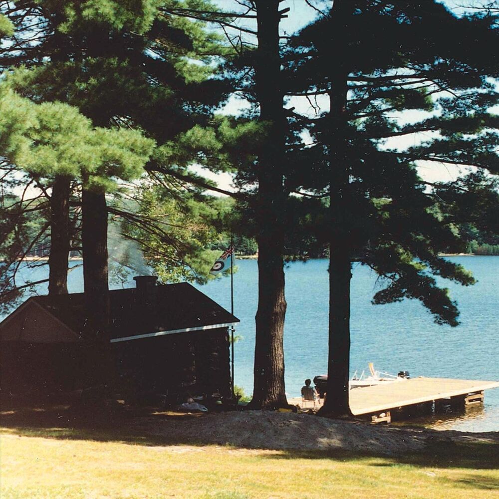 Picture of Beneath the Pines