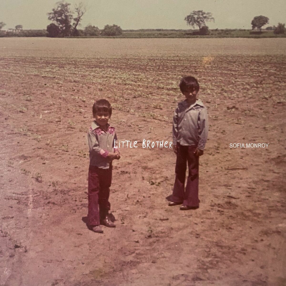 Album cover of Little Brother