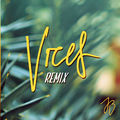 Vices (Remix)