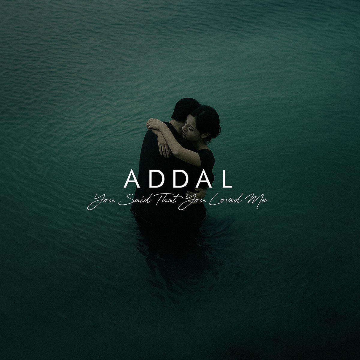 Album cover of You Said That You Loved Me