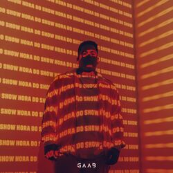 Cover of Hora do Show