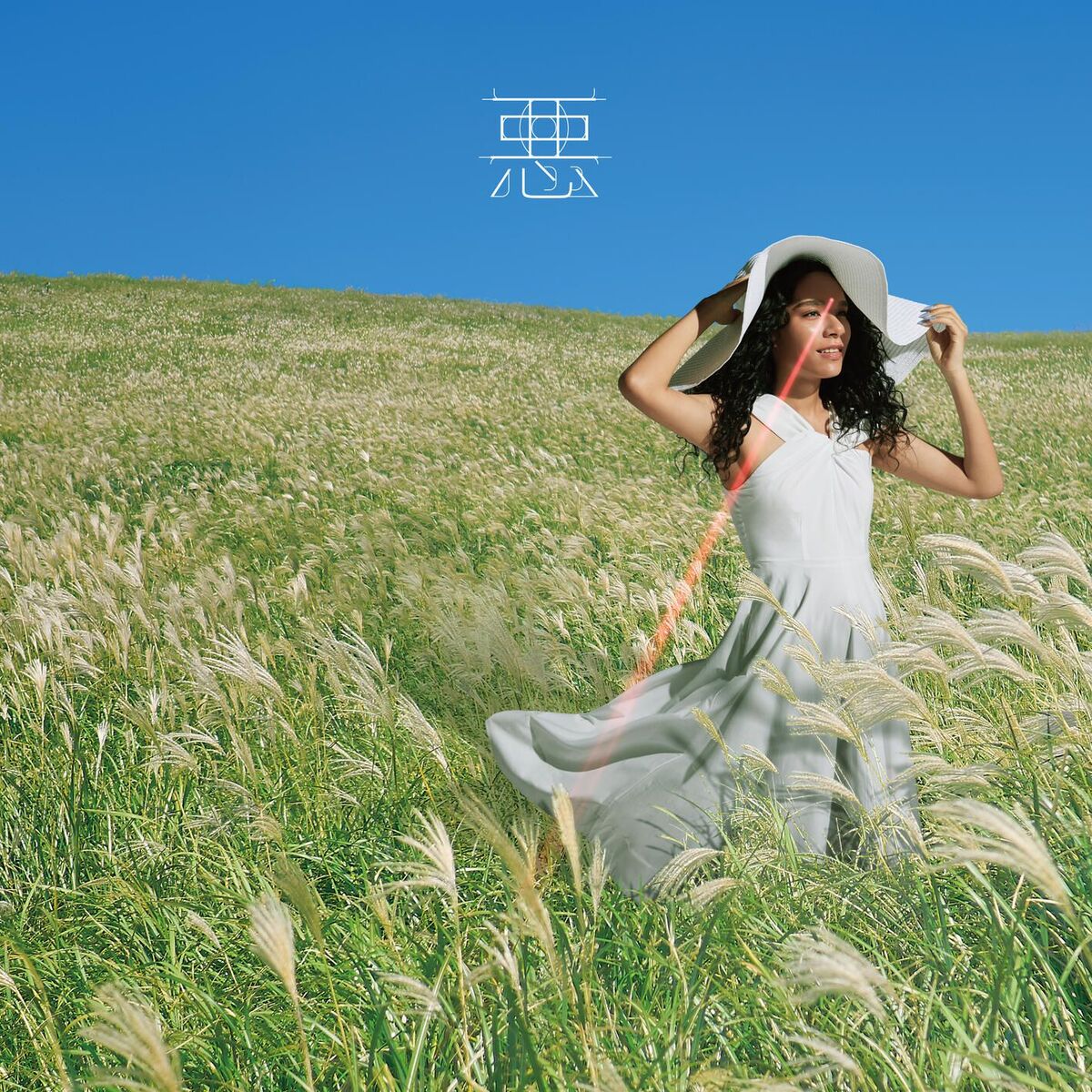 Album cover of AKU