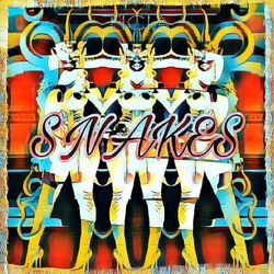 Cover of SNAKES