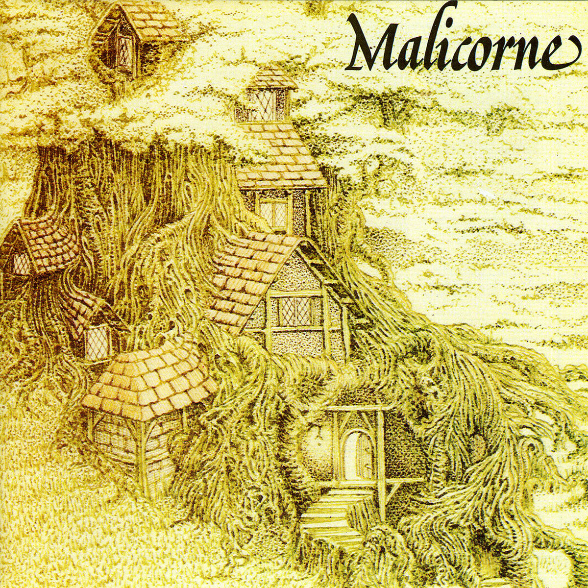 Album cover of Le mariage anglais