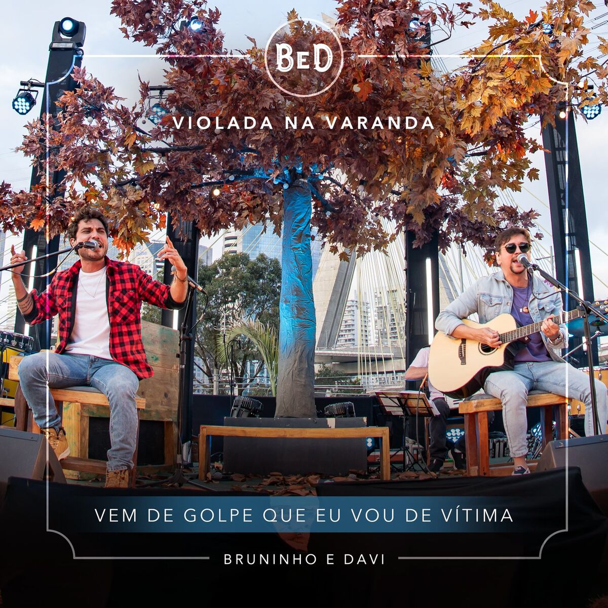 Album cover of Vem De Golpe Que Eu Vou De Vítima