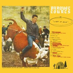 Cover of Light Up Gold