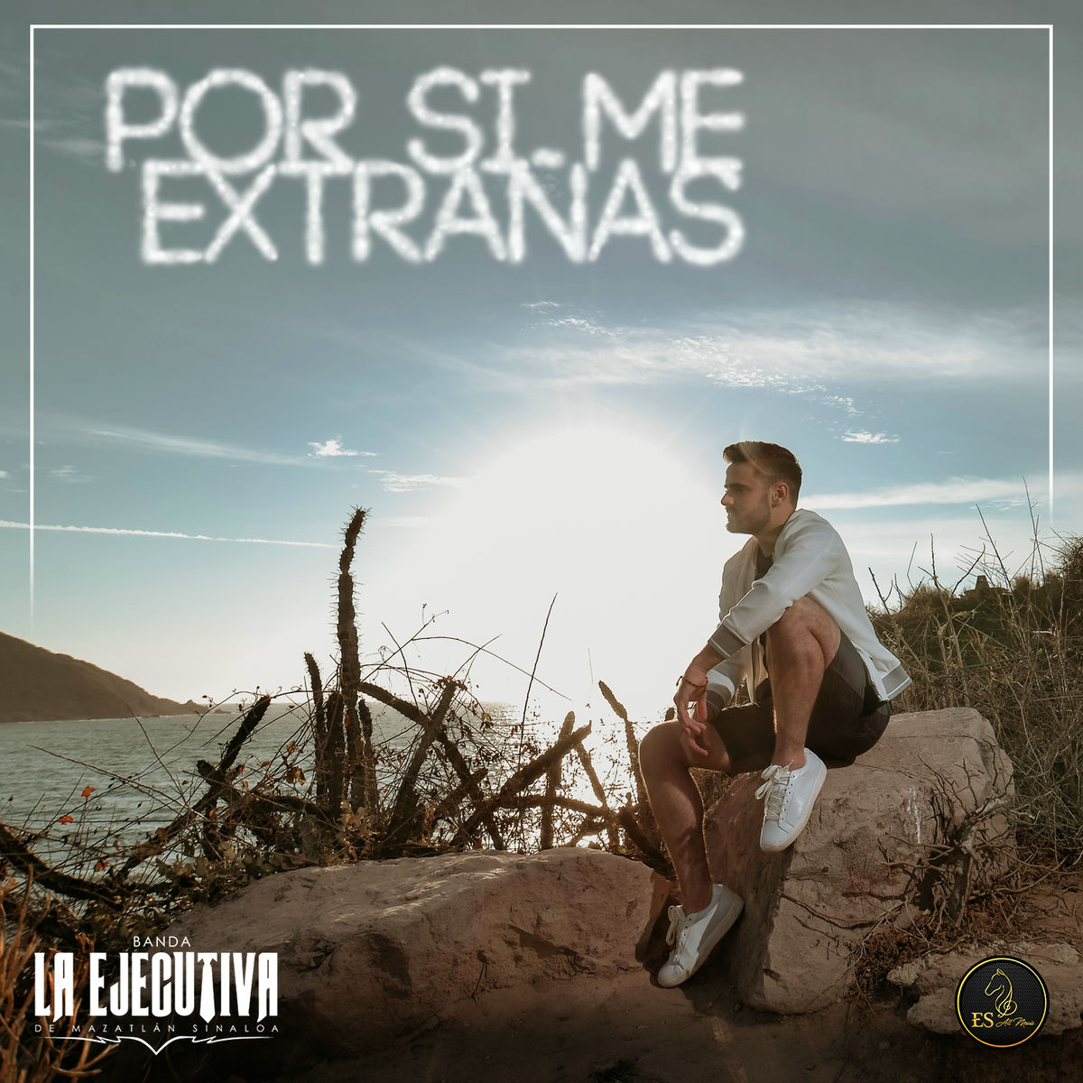 Album cover of Por Si Me Extrañas