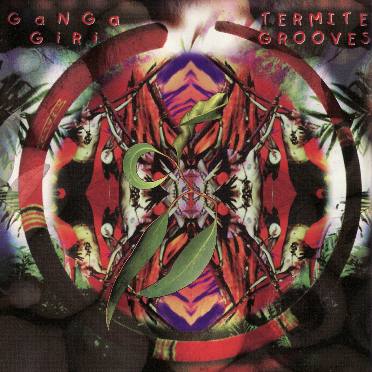 Album cover of Termite Grooves