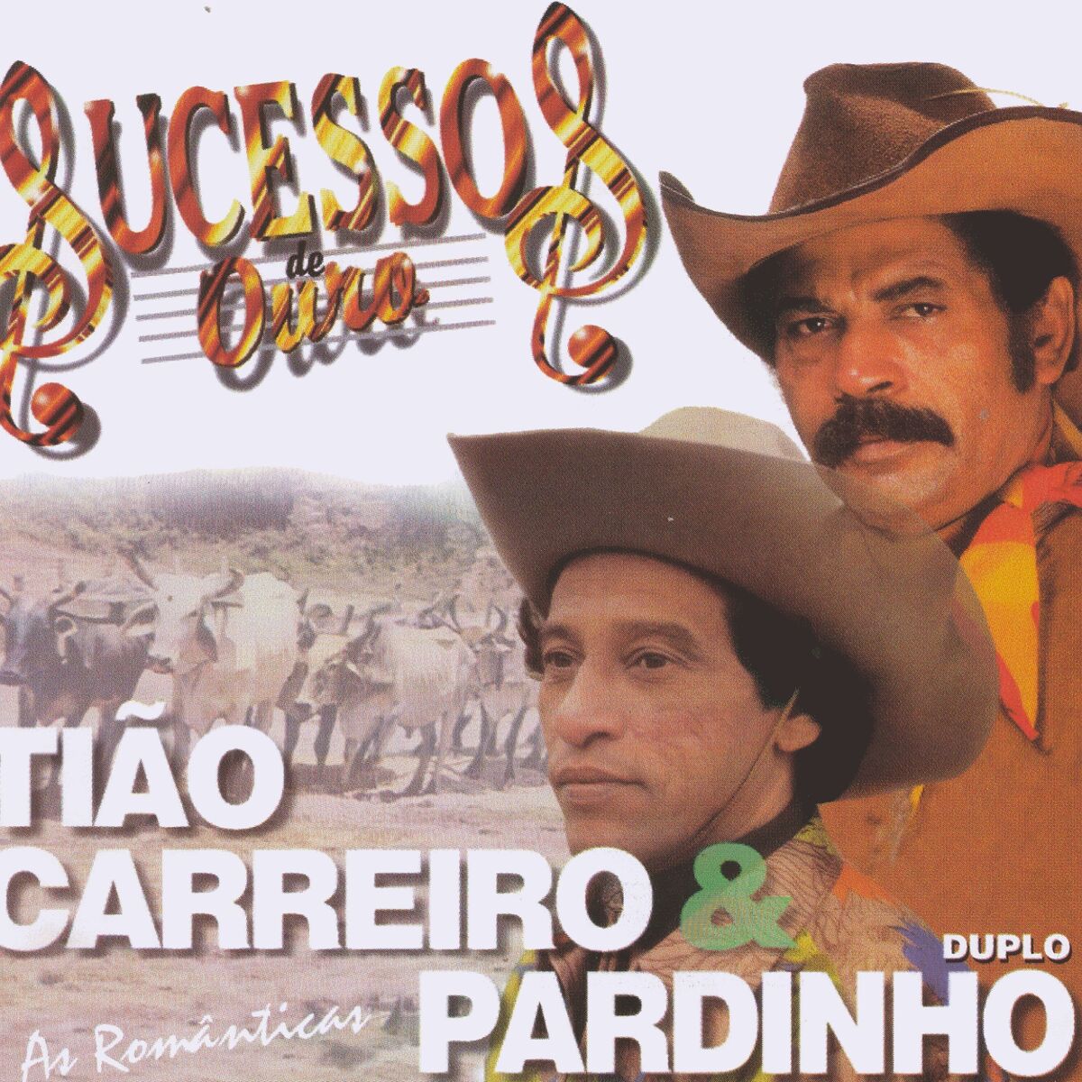 Album cover of Sucessos de Ouro (As românticas)
