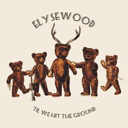Cover of Til We Hit the Ground