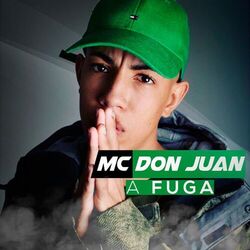 Cover of A Fuga