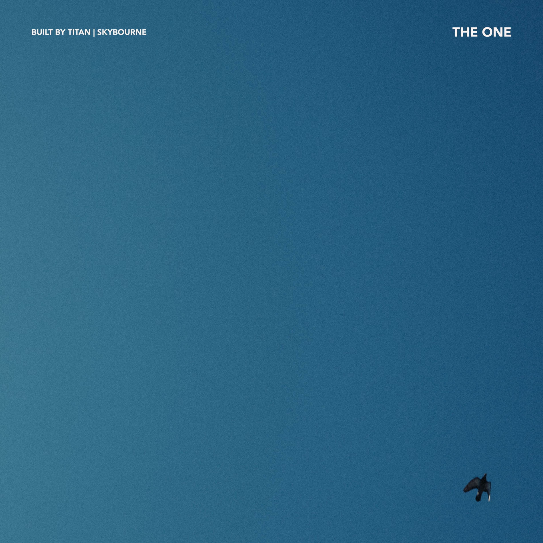 Album cover of The One