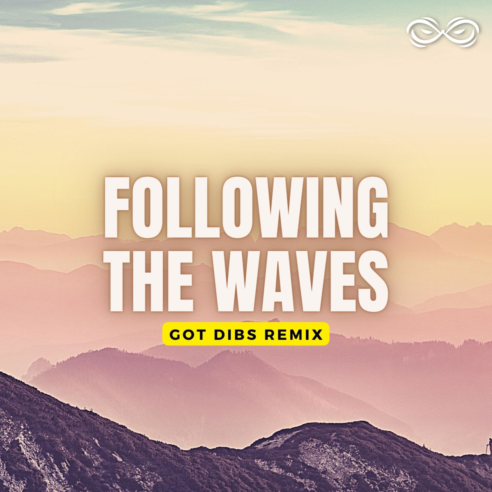 Album cover of Following The Waves (Got Dibs Remix)