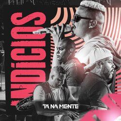 Cover of Indícios