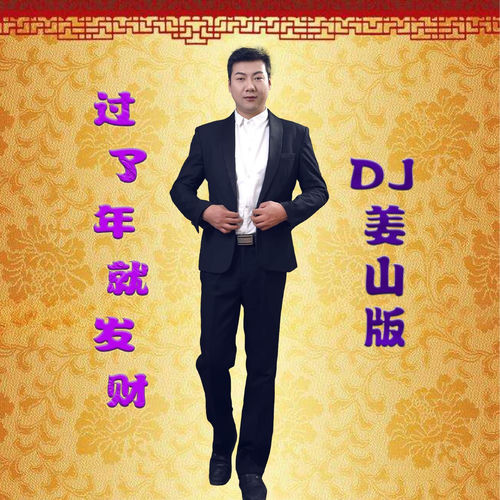 过了年就发财 (DJ彭洋版)