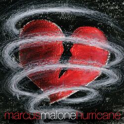 Cover of Hurricane
