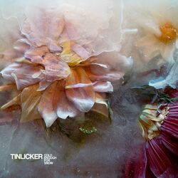 Cover of Cold Enough For Snow