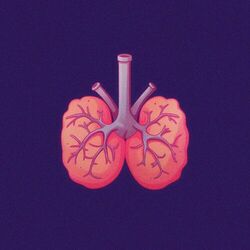 Cover of Breathe in, Breathe Out