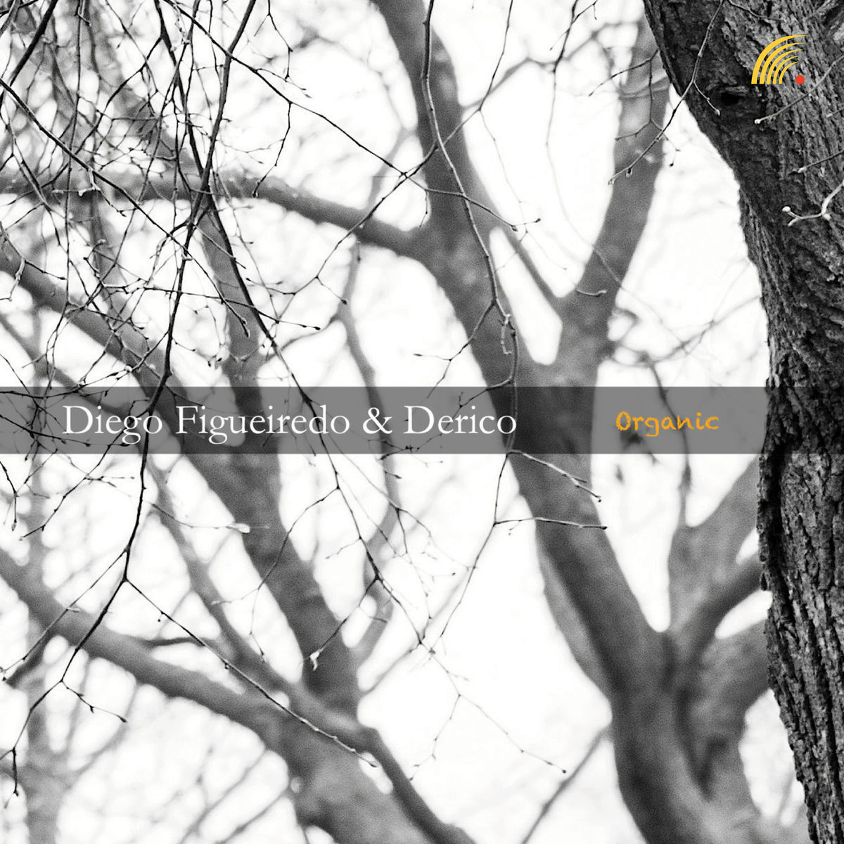 Album cover of Organic