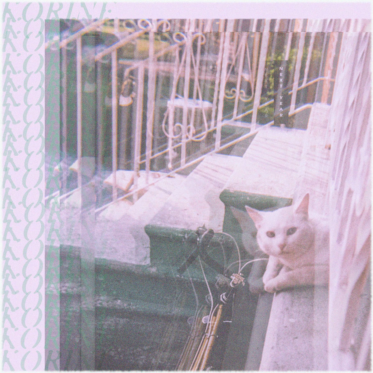 Album cover of Next Year