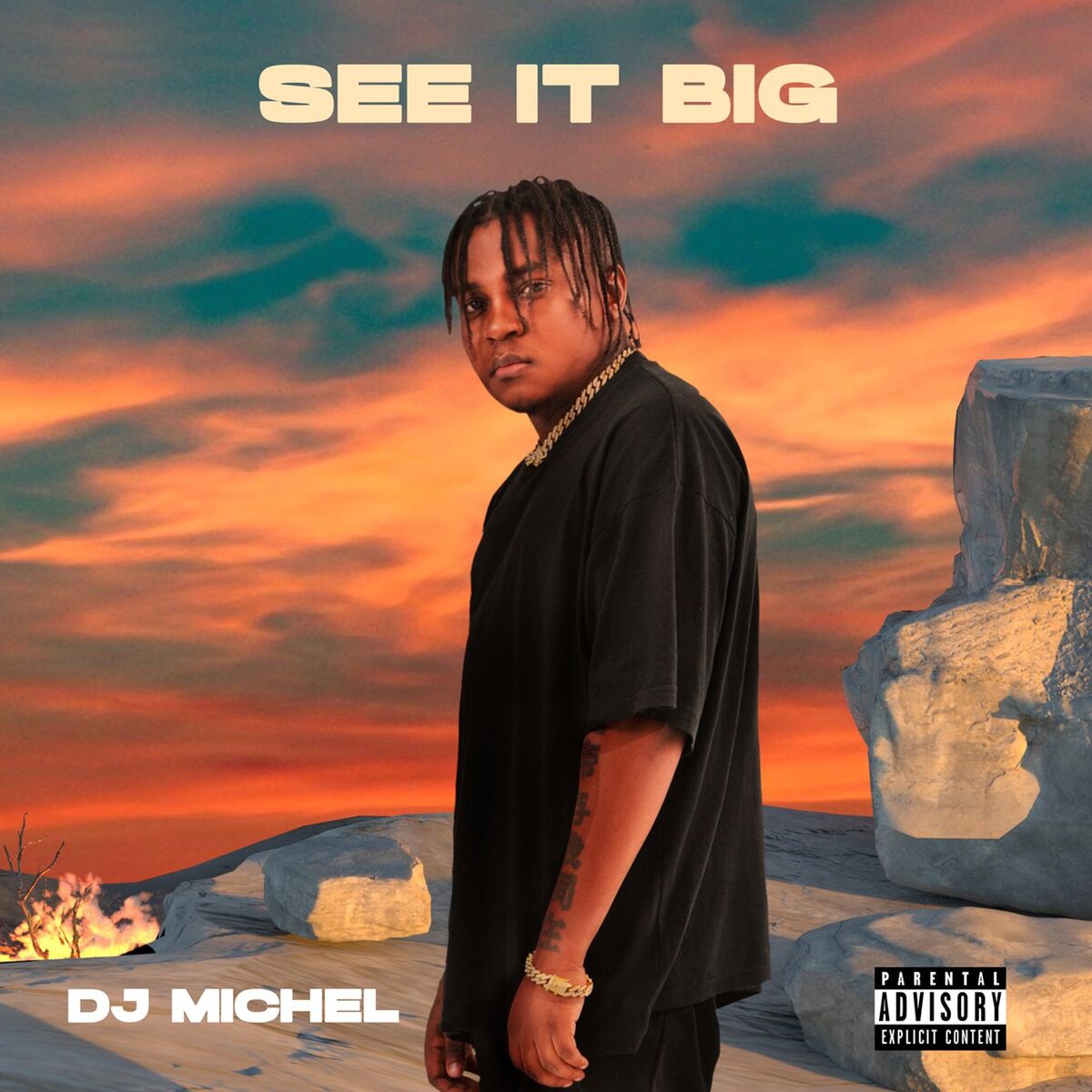 Album cover of See It Big