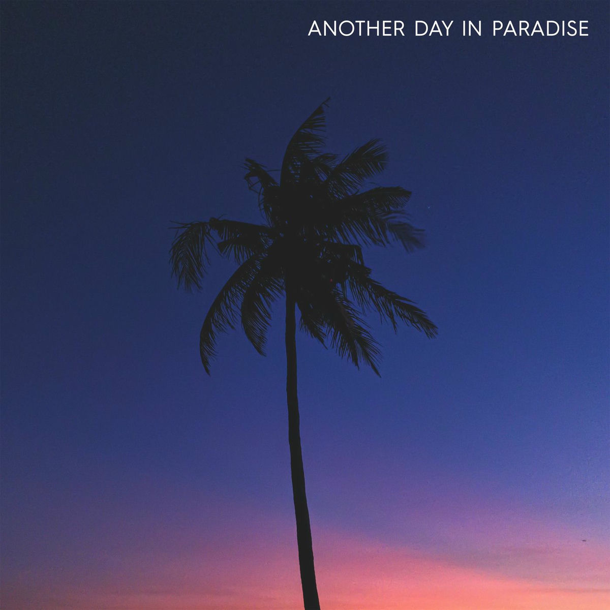 Album cover of Another Day In Paradise