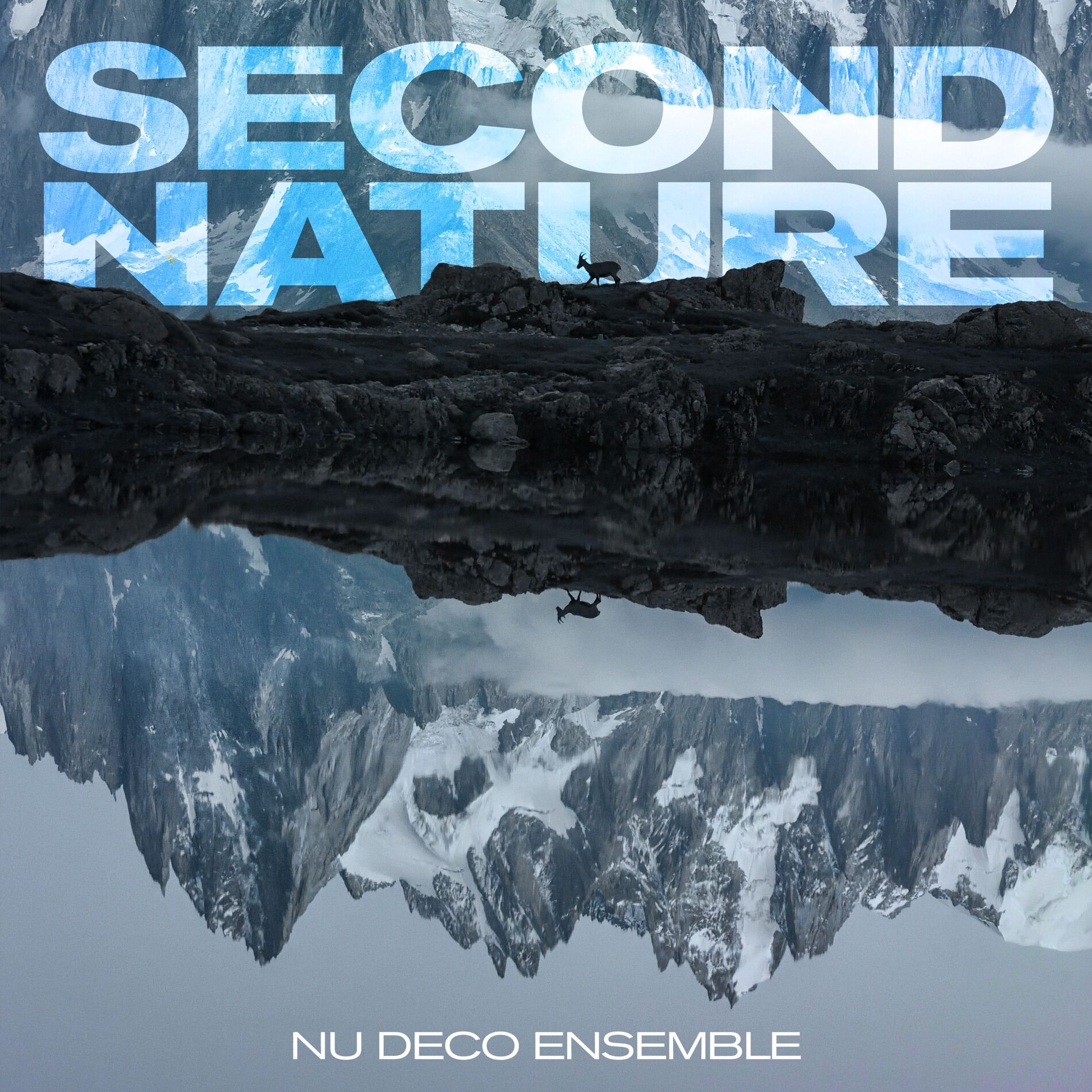 Album cover of Second Nature