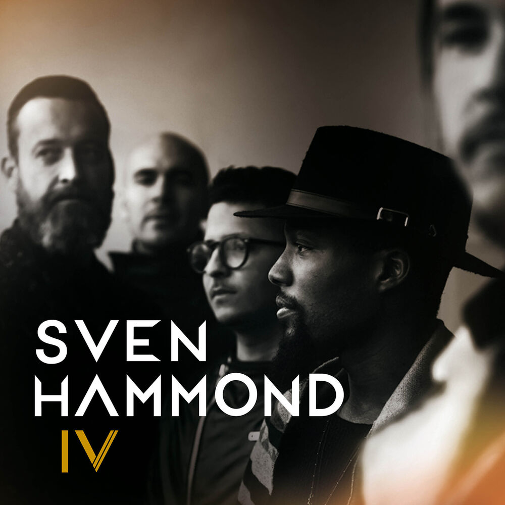 Picture of IV