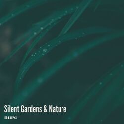 Cover of Silent Gardens & Nature