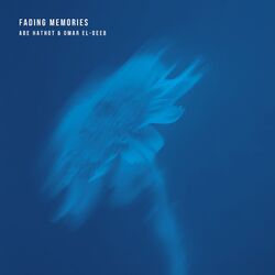 Fading Memories