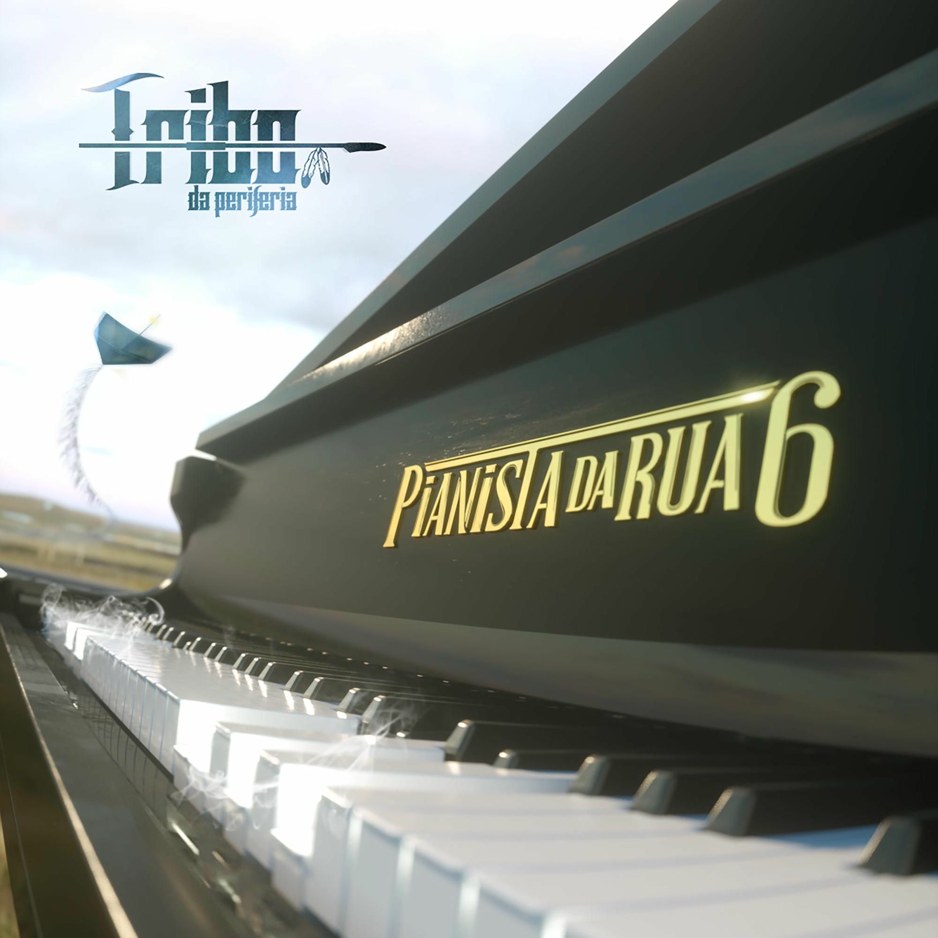Album cover of Pianista da Rua 6