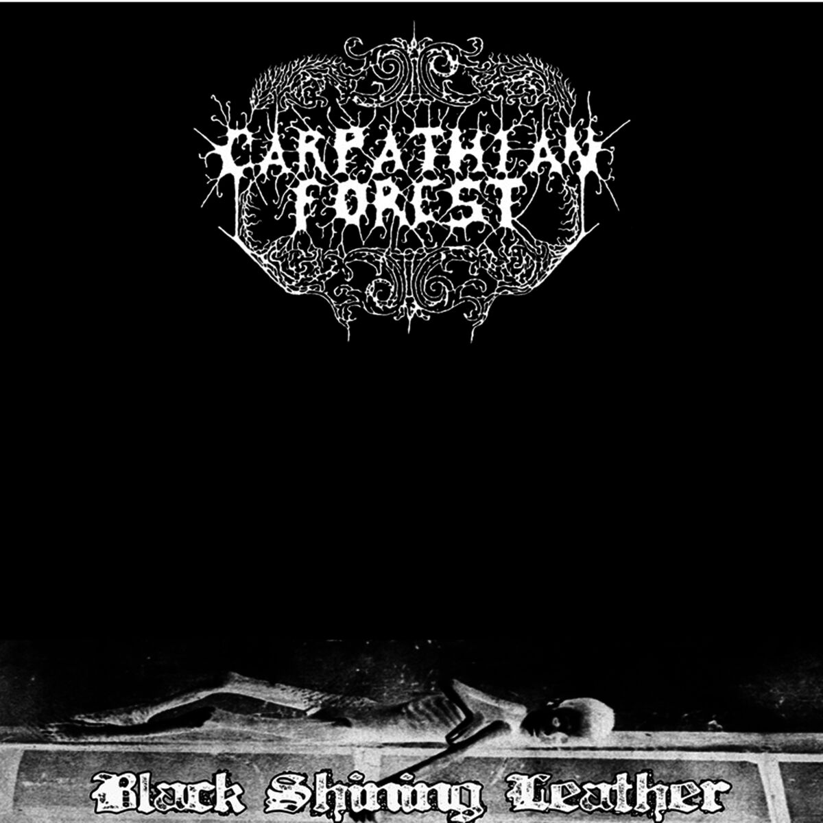 Album cover of Black Shining Leather