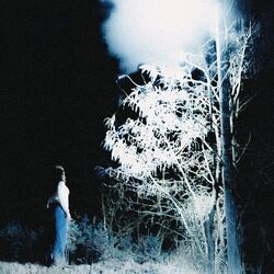 Cover of Afterlife