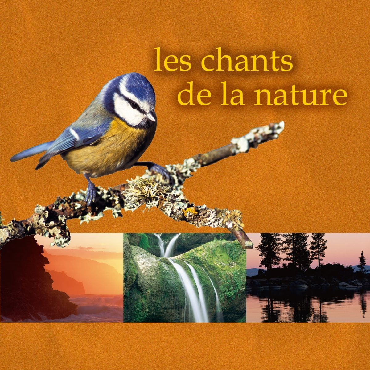 Album cover of Les chants de la nature