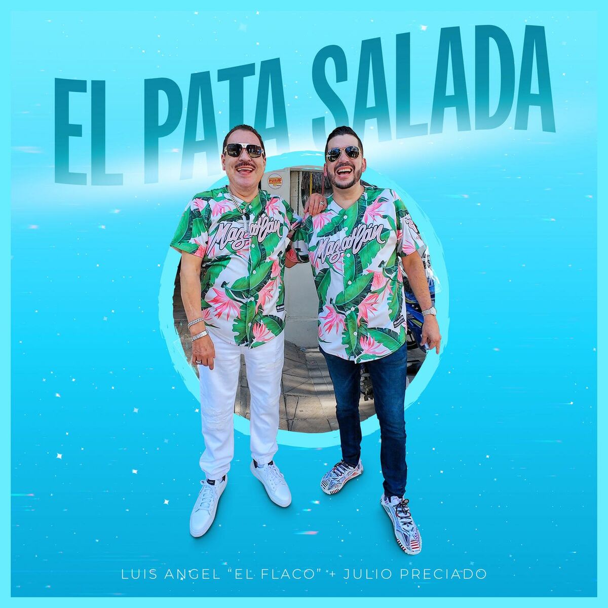 Album cover of El Pata Salada