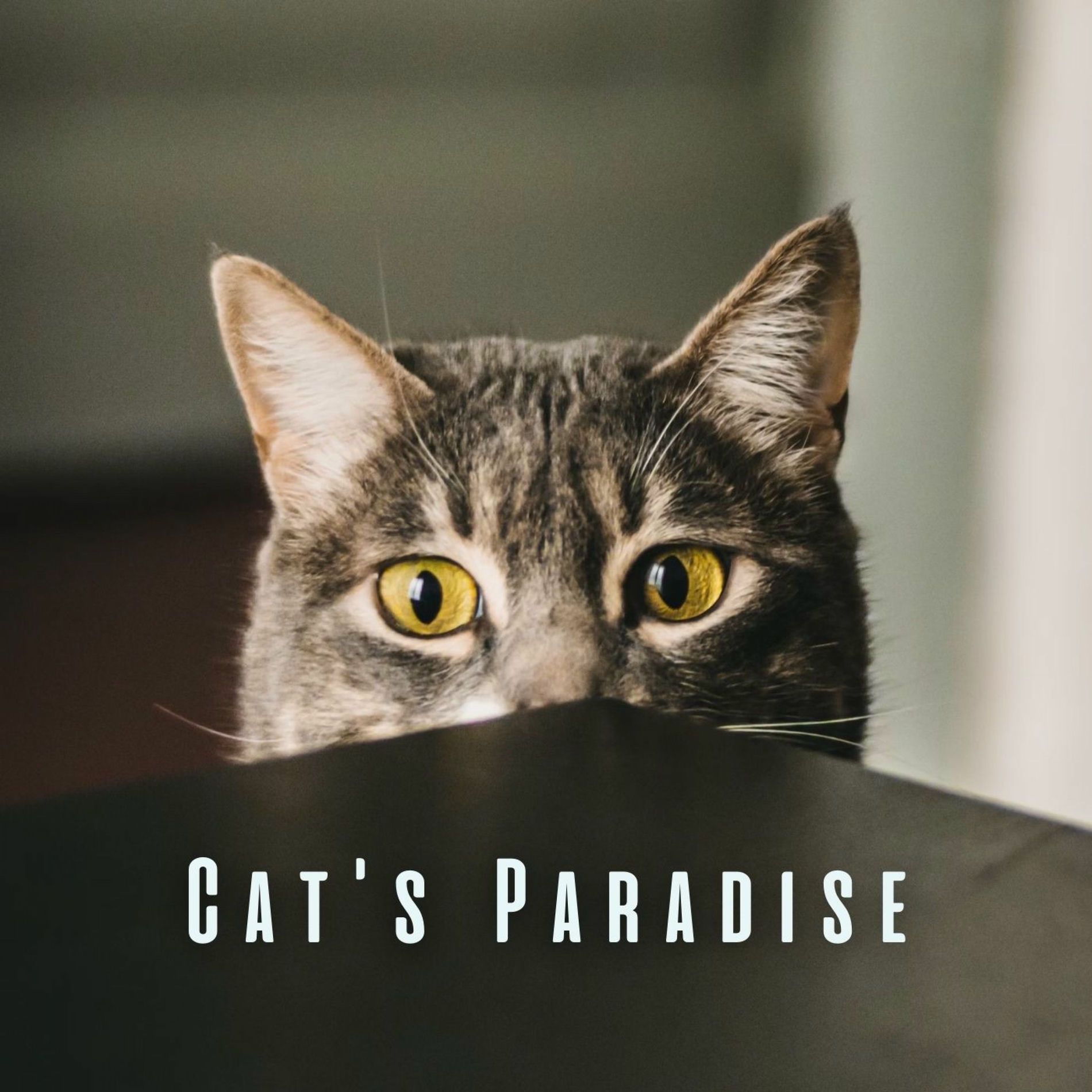 Album cover of Cat's Paradise: Nature's Tranquil Tunes and Chill Sounds