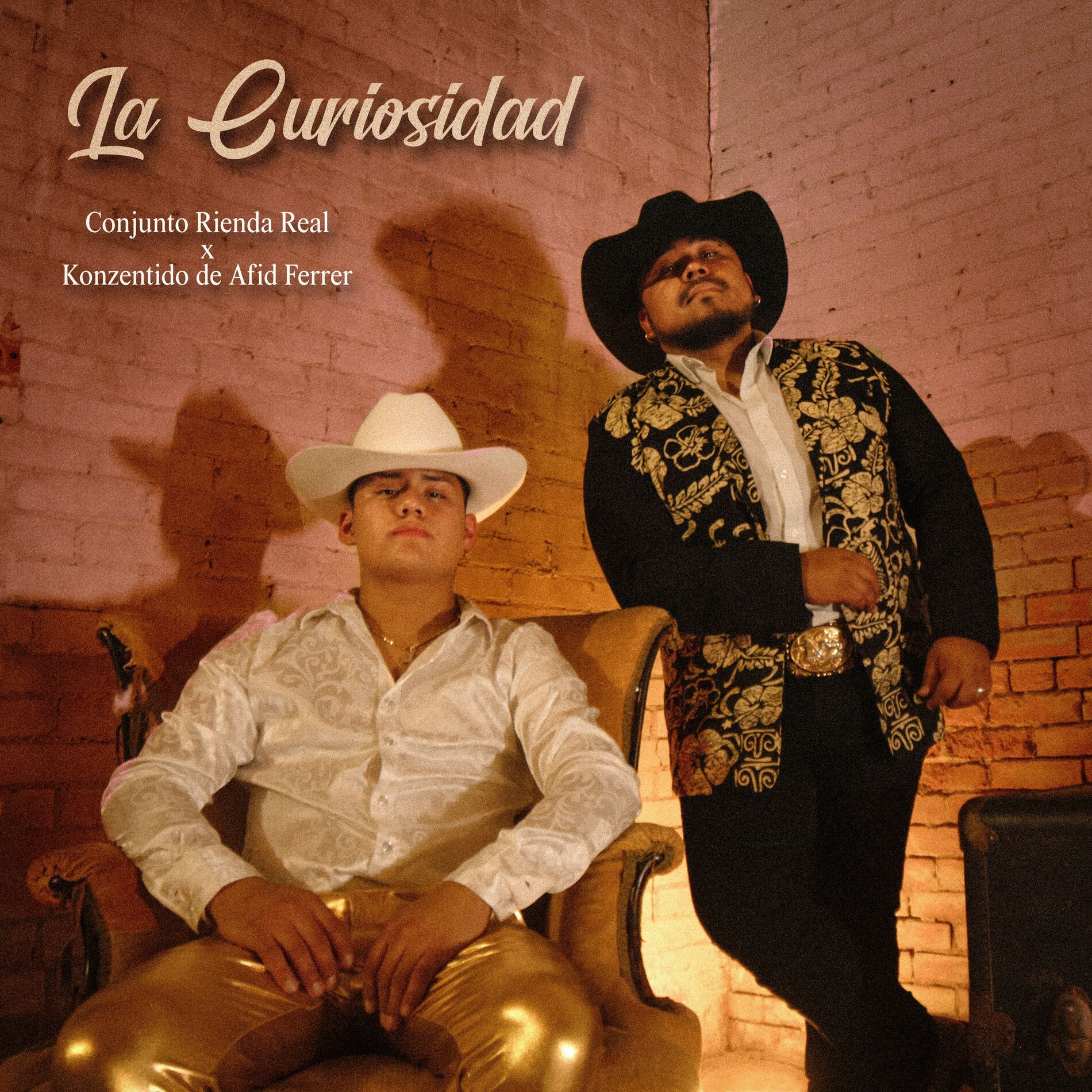 Album cover of La Curiosidad