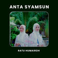 Anta Syamsun